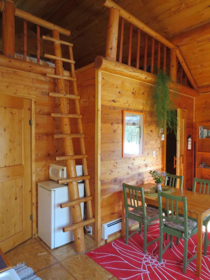 Blaeberry Mountain Lodge Golden Cameră foto